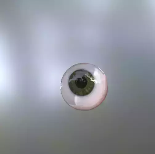 Realistic eyes  3D print model