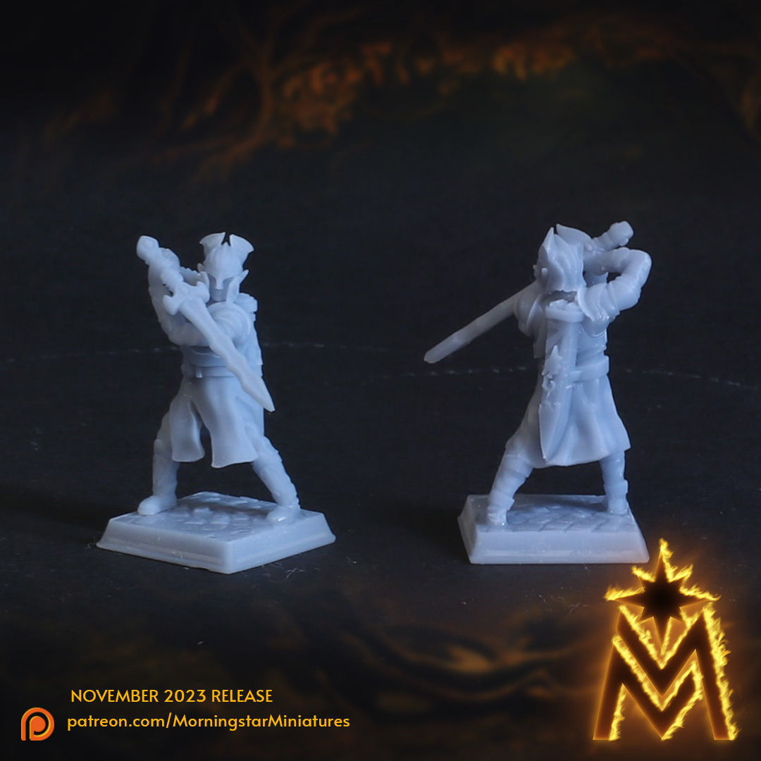 High Elf Swordsmen Unit - 32mm Scale Presupported Miniatures 3D print model_10