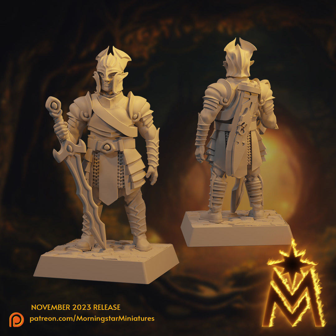 High Elf Swordsmen Unit - 32mm Scale Presupported Miniatures 3D print model_8