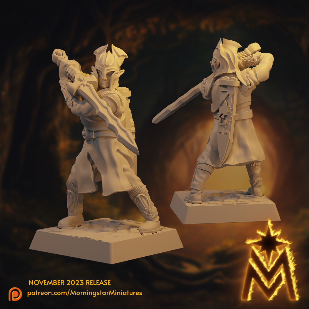 High Elf Swordsmen Unit - 32mm Scale Presupported Miniatures 3D print model_9
