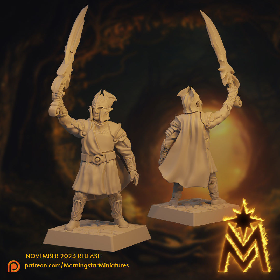 High Elf Swordsmen Unit - 32mm Scale Presupported Miniatures 3D print model_4