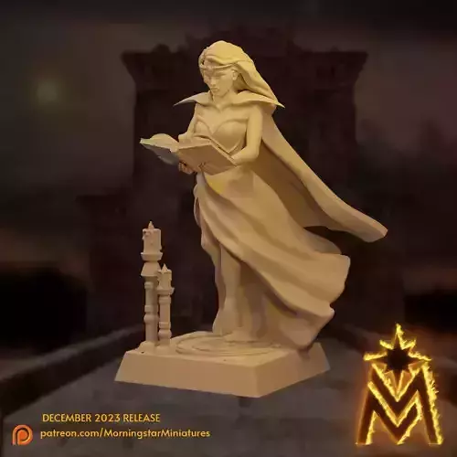 High Elf Mage - 32mm Presupported Miniatures 3D print model