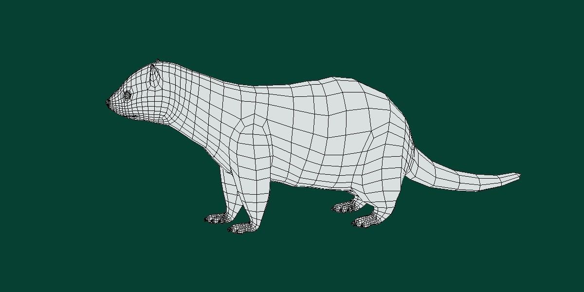 European Polecat  Low-poly 3D model_6