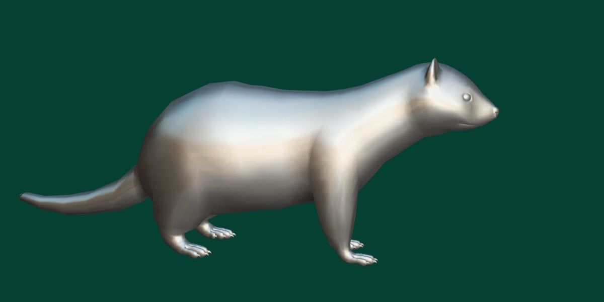 European Polecat  Low-poly 3D model_19