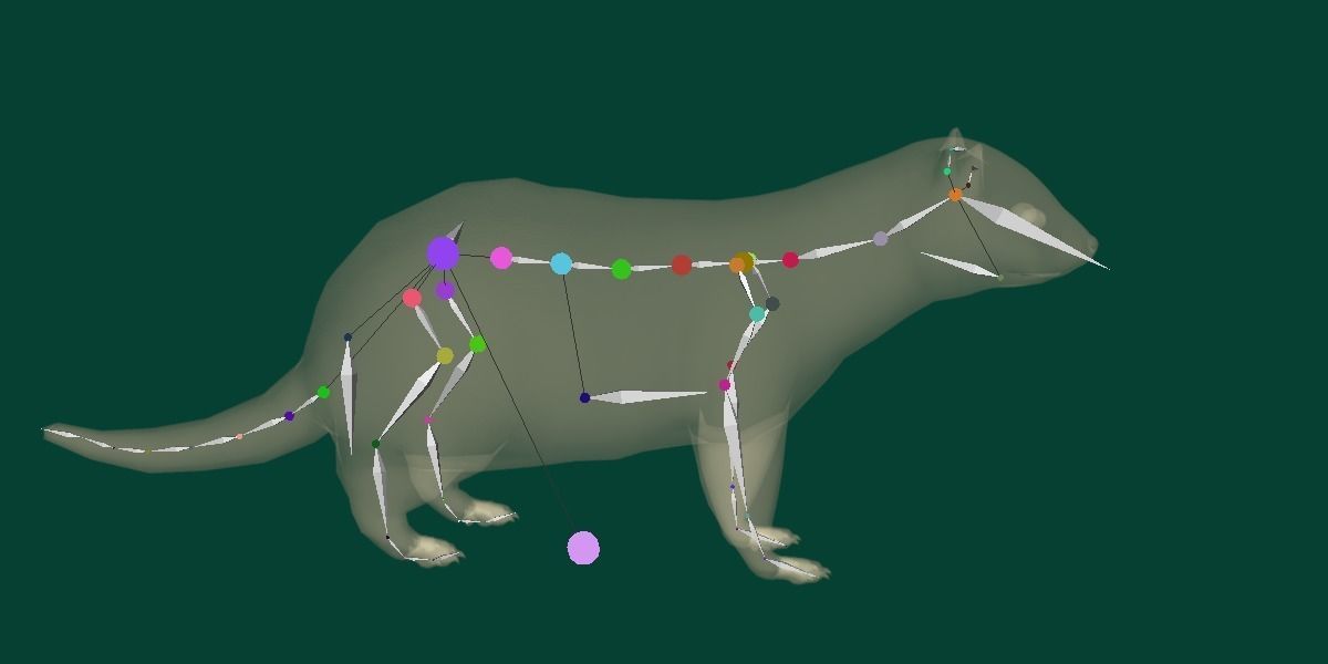 European Polecat  Low-poly 3D model_13