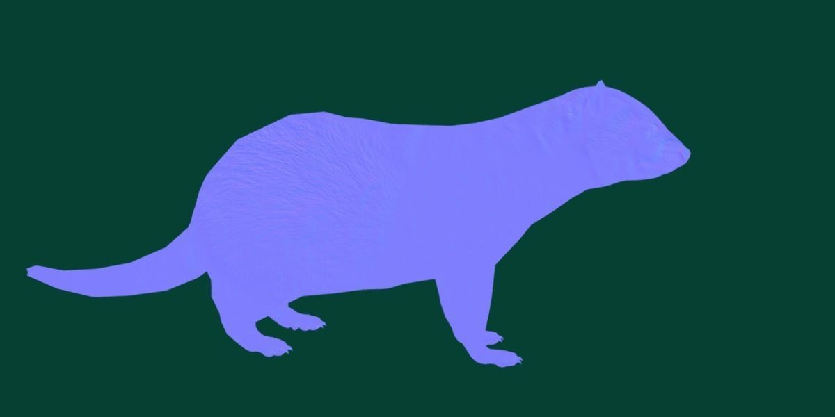 European Polecat  Low-poly 3D model_16