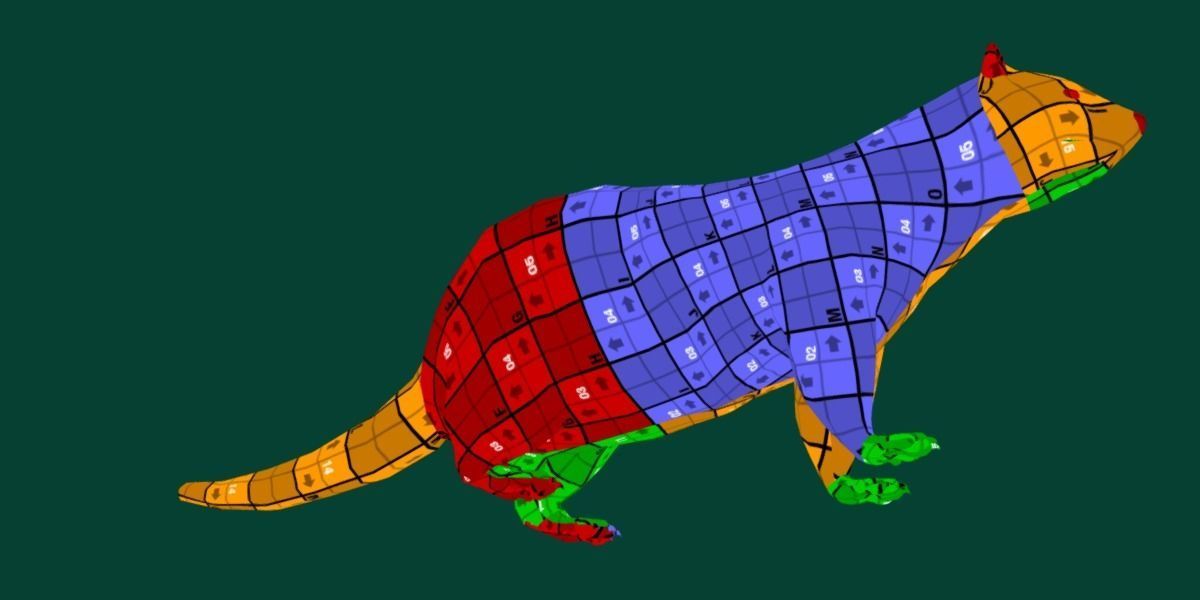 European Polecat  Low-poly 3D model_11