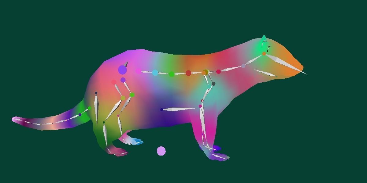 European Polecat  Low-poly 3D model_14