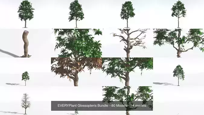 EVERYPlant Glossopteris Bundle --80 Models-- 3D Model Collection