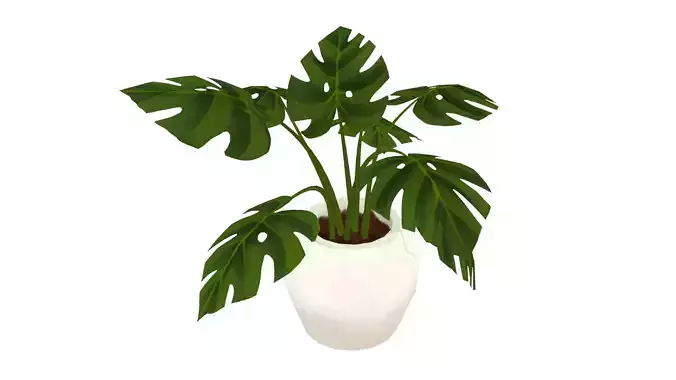 Monstera Pot - Hand Painted 