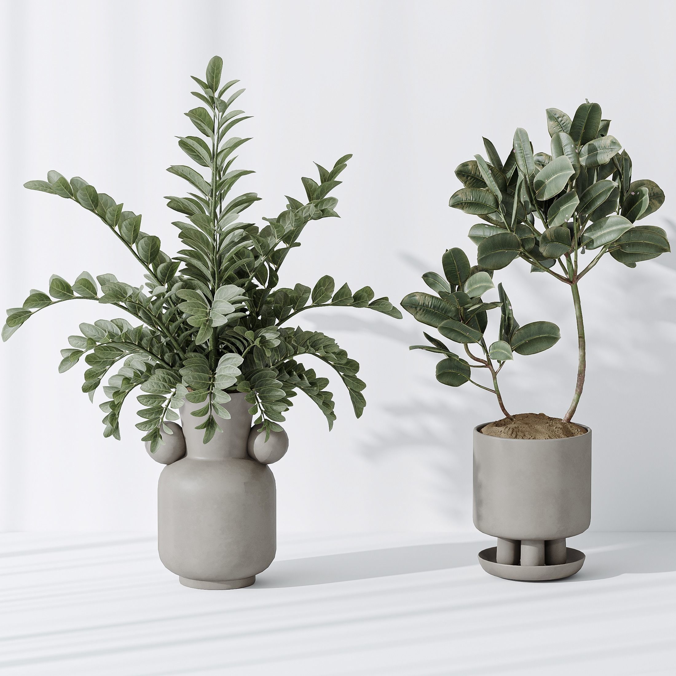 Indoor plant set 05 3D model_2