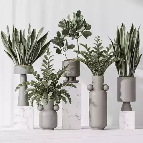 Indoor plant set 05