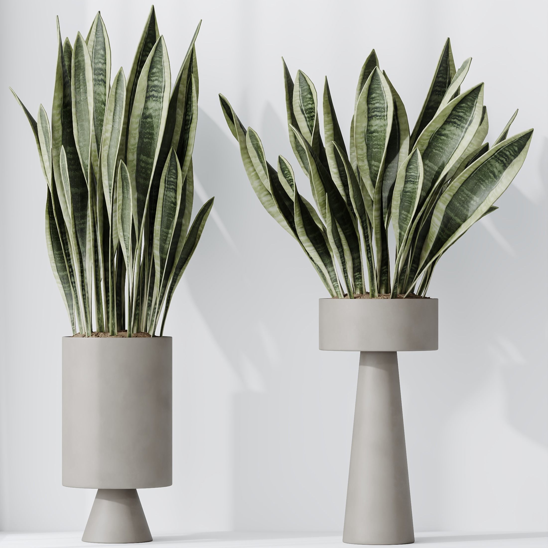 Indoor plant set 05 3D model_3