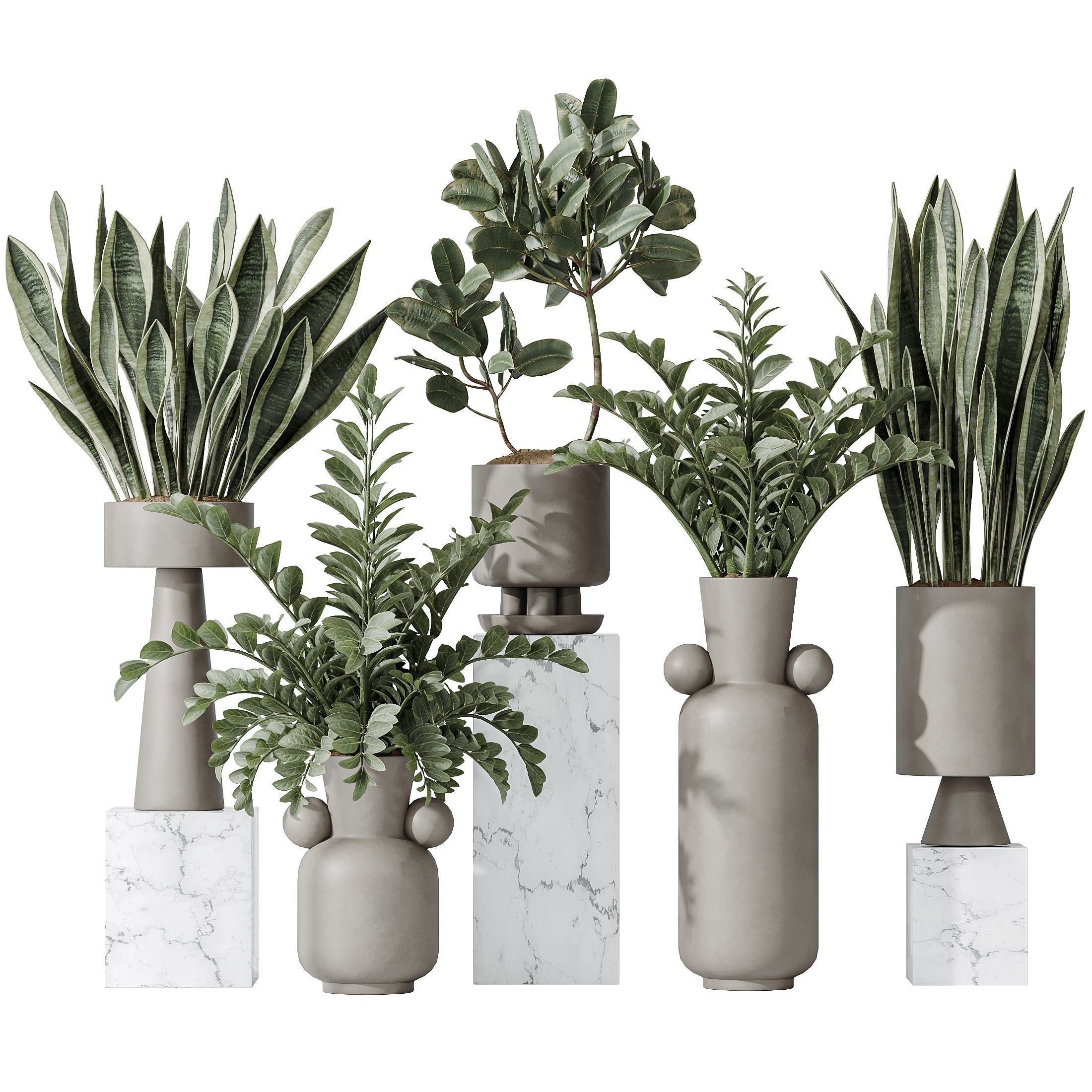 Indoor plant set 05 3D model_1