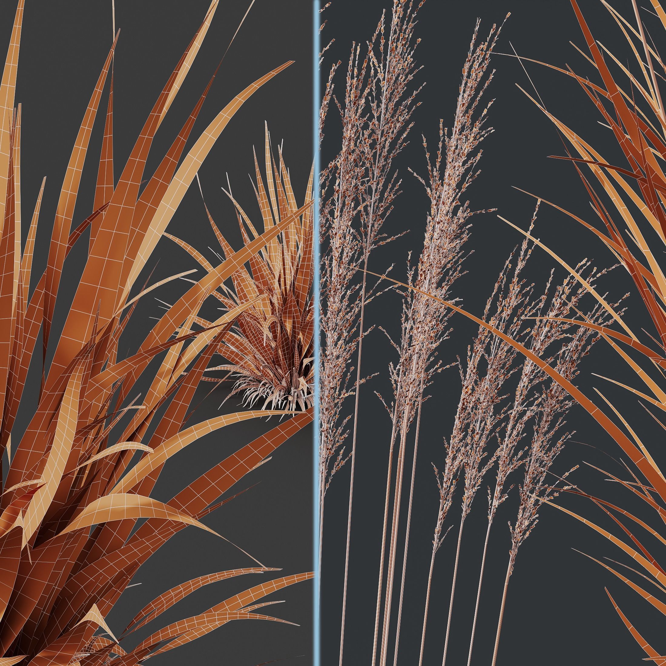 Grass 02 3D model_6