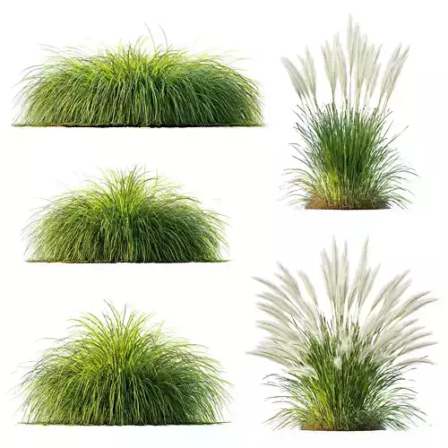 Grass 01 3D model