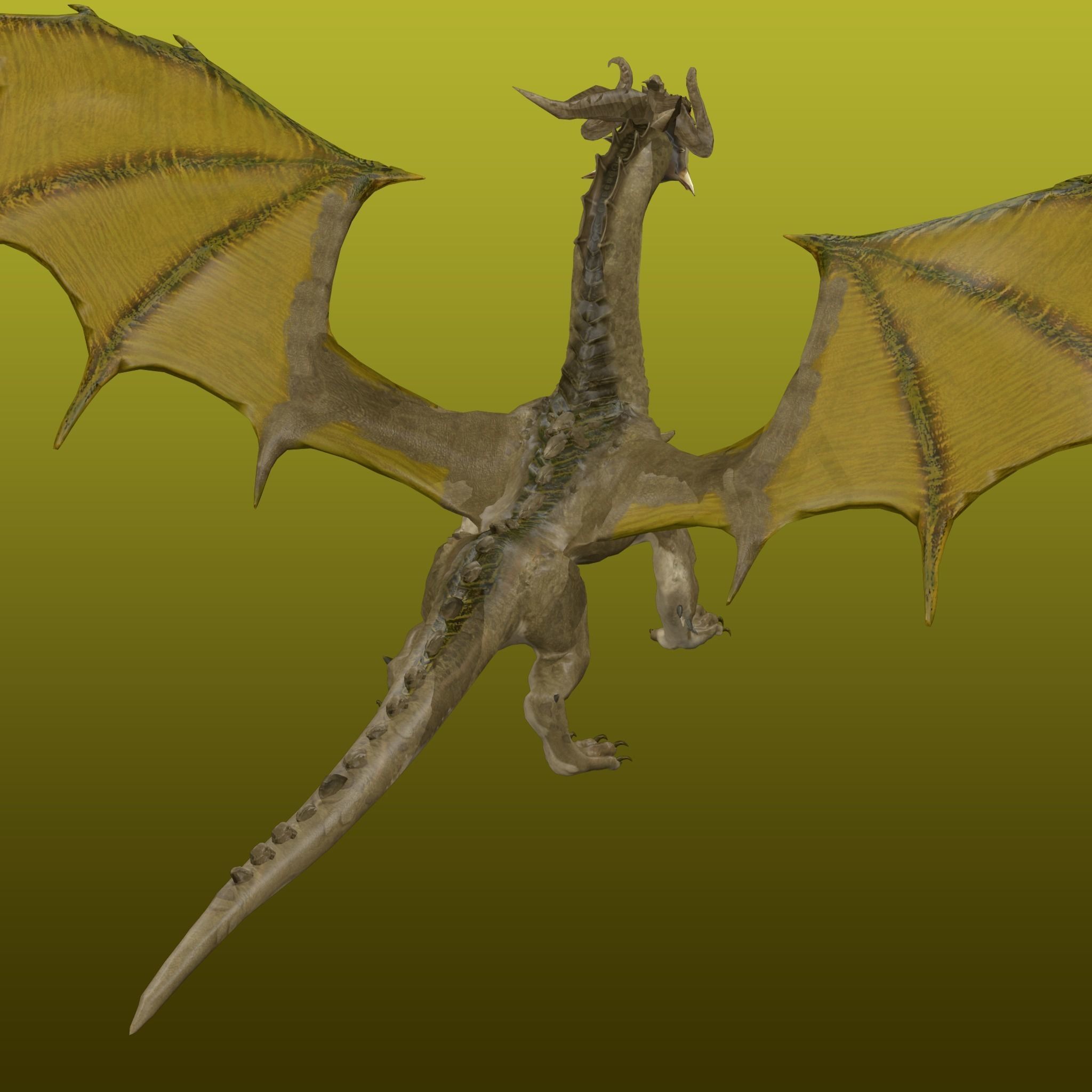 Desert Dragon Ancient 3D model_5