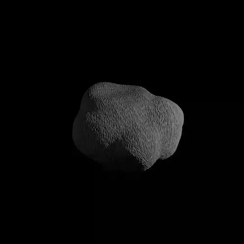 Hericium Lions Mane Mushroom Low-poly 3D model Hericium Lions Mane Mushroom Low-poly 3D model