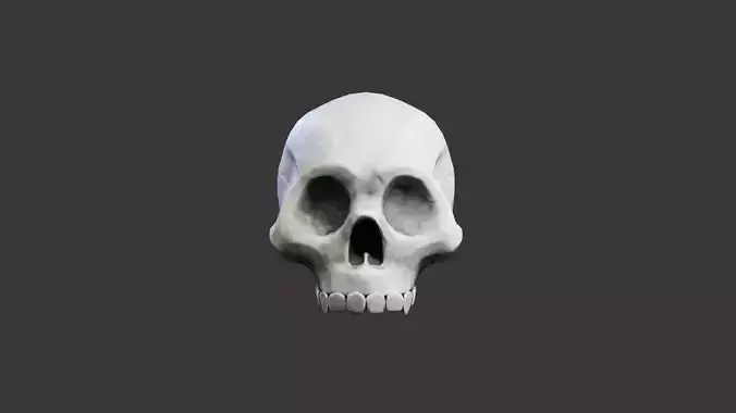 Game-Ready Skull