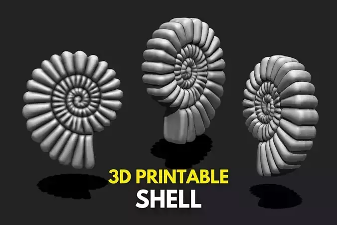 Shell 10 - Sea Shell 3D Printable Model 3D print model