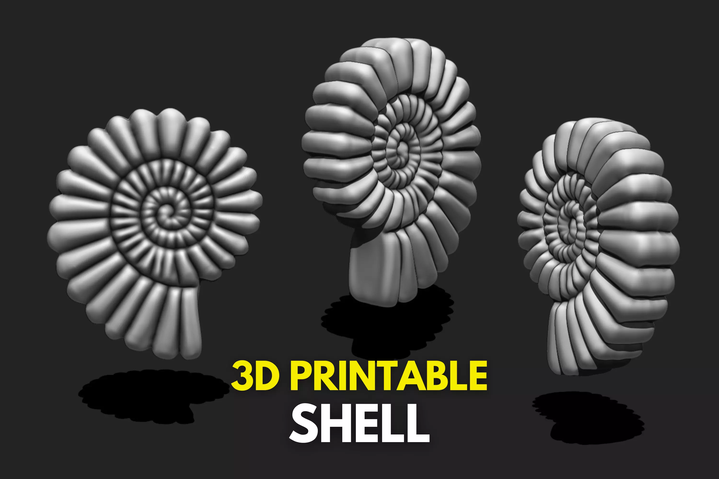 Shell 10 - Sea Shell 3D Printable Model 3D print model_0