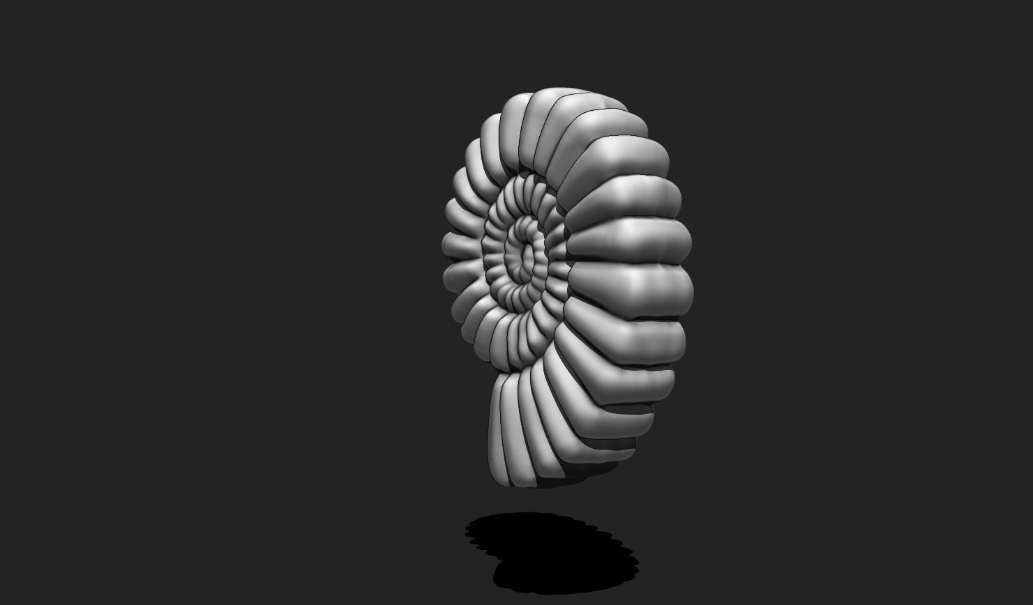 Shell 10 - Sea Shell 3D Printable Model 3D print model_5