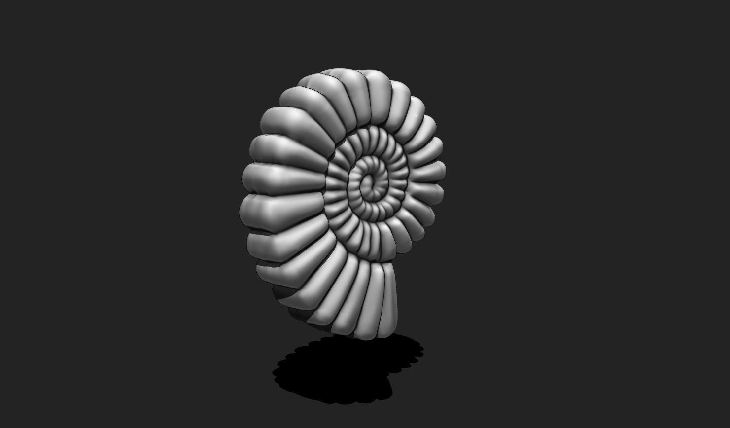 Shell 10 - Sea Shell 3D Printable Model 3D print model_3
