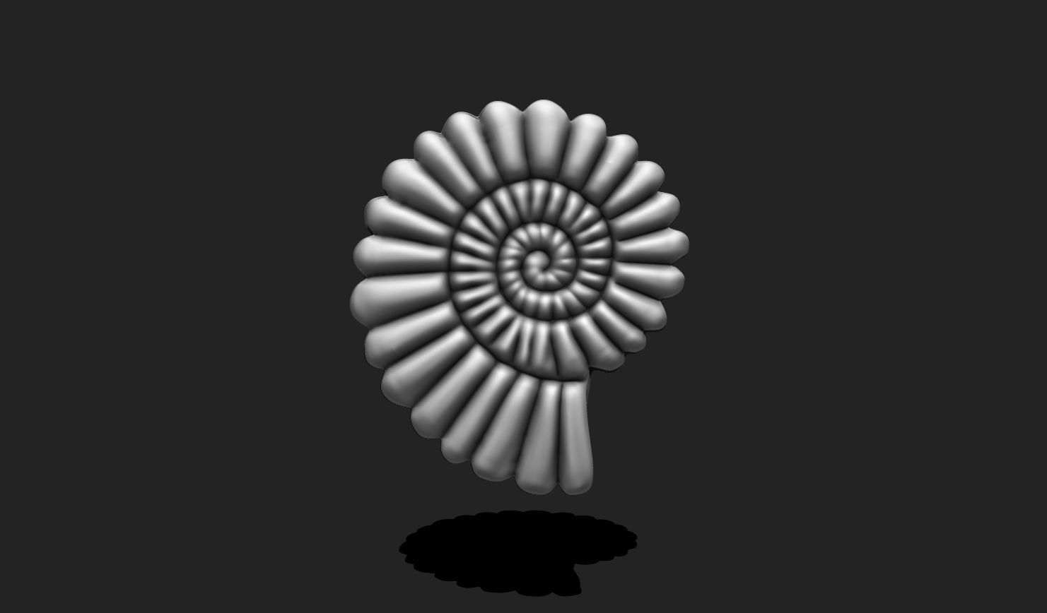 Shell 10 - Sea Shell 3D Printable Model 3D print model_2