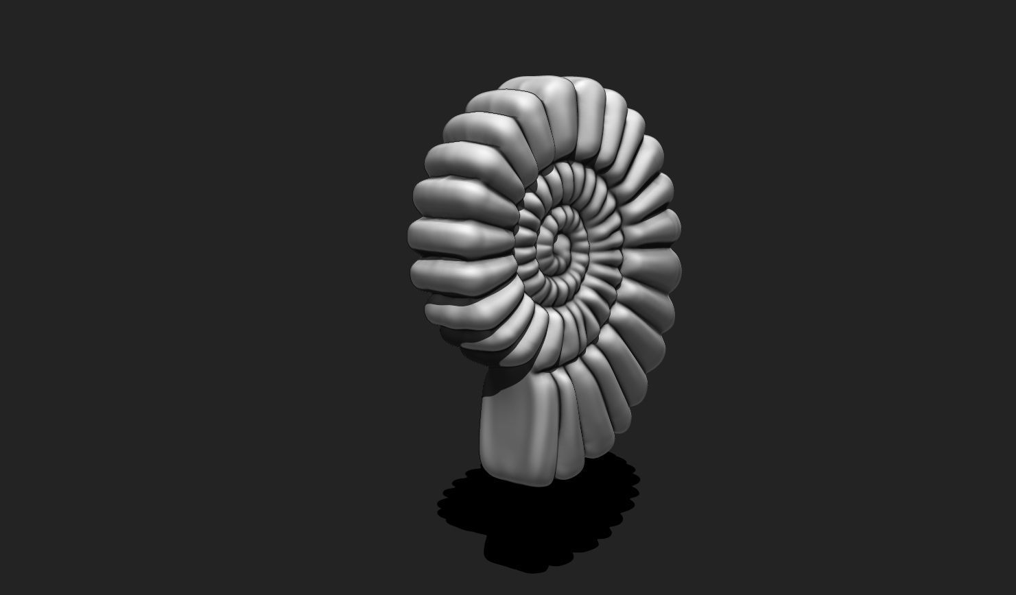 Shell 10 - Sea Shell 3D Printable Model 3D print model_7