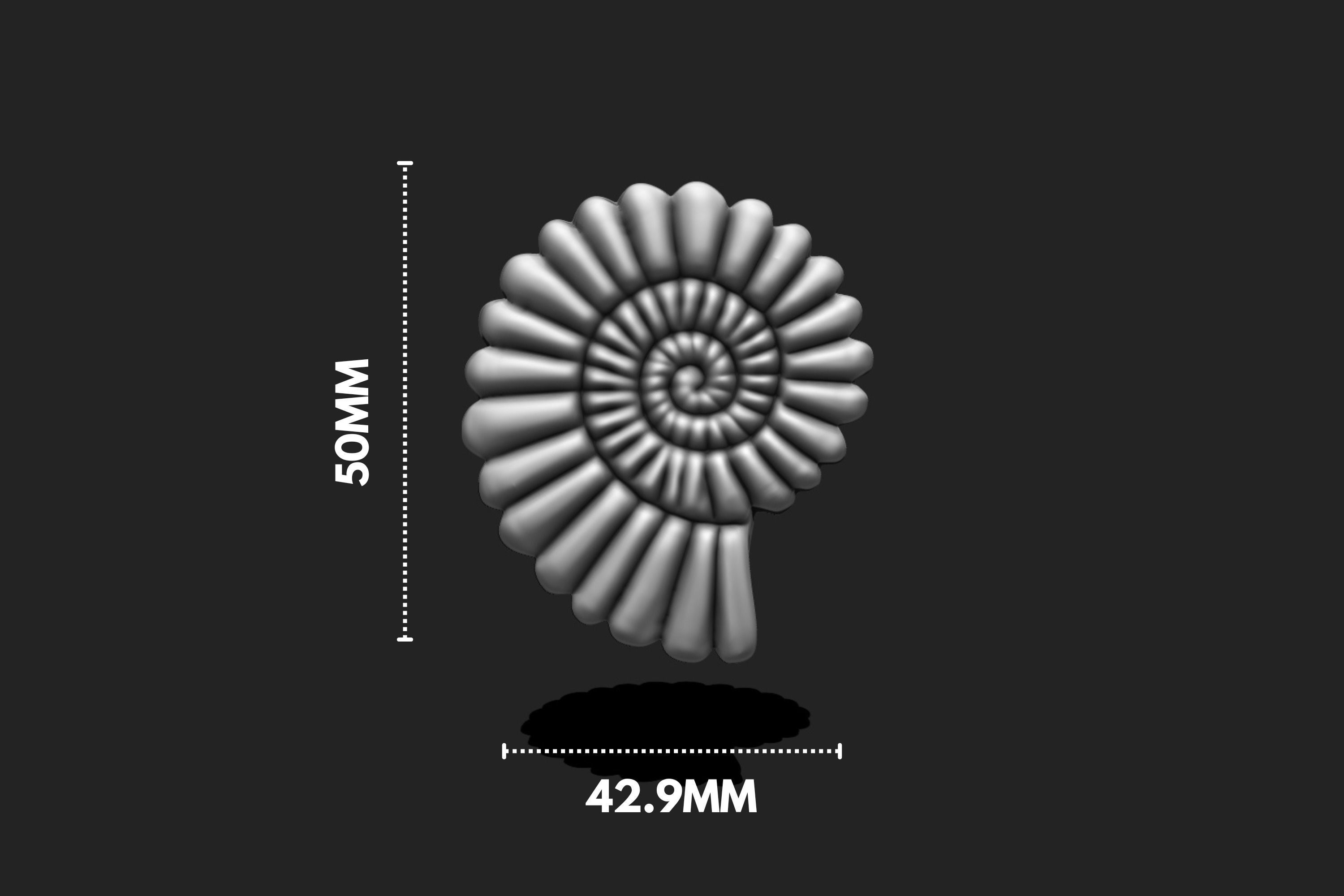Shell 10 - Sea Shell 3D Printable Model 3D print model_1