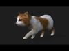Cat A2 3D model_1