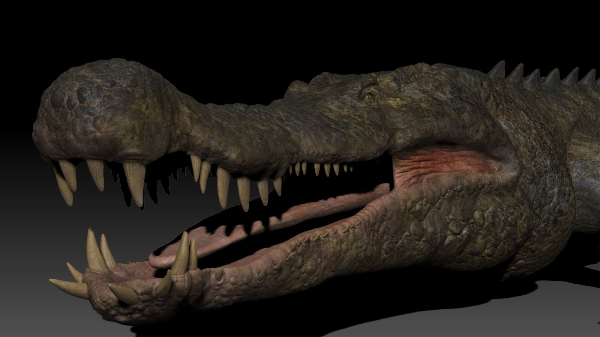 Dinosaur Deinosuchus Riograndensis Sculpt Project 3D model_13
