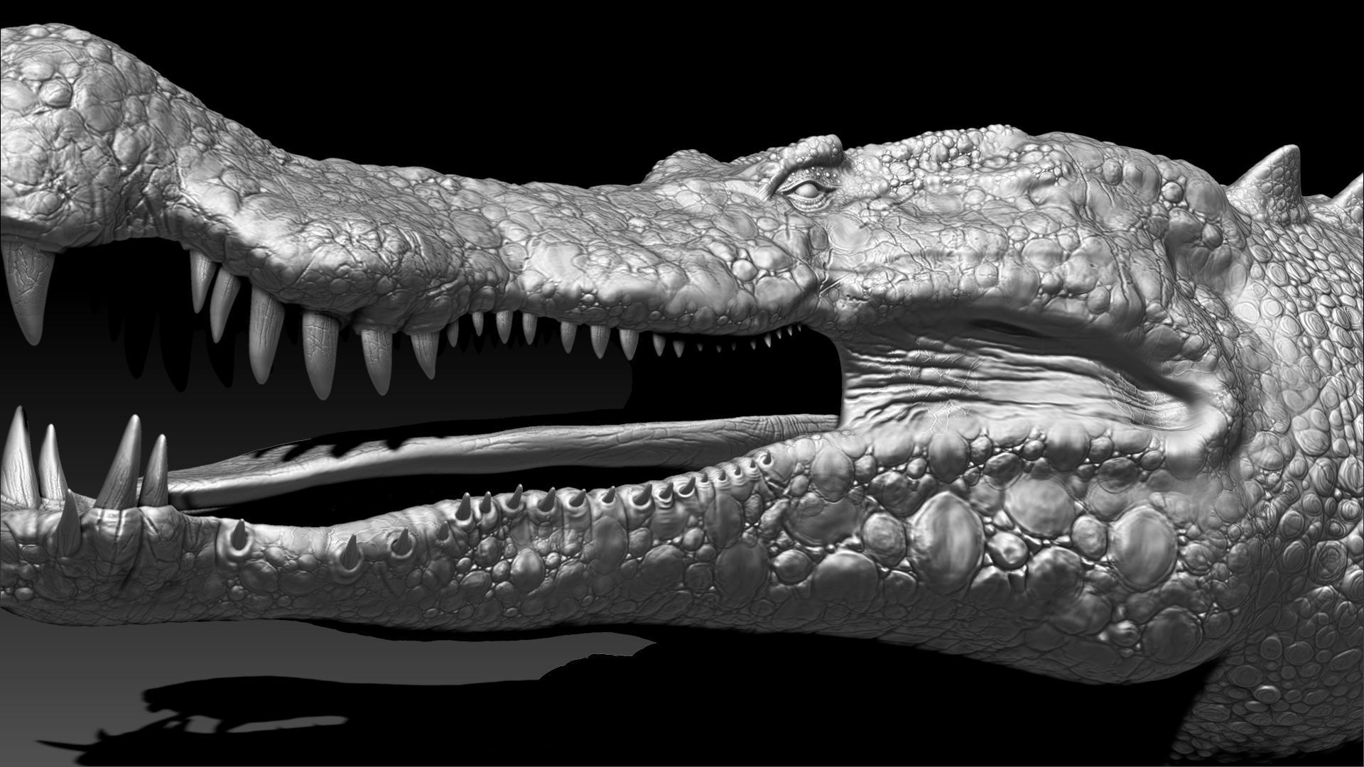 Dinosaur Deinosuchus Riograndensis Sculpt Project 3D model_6
