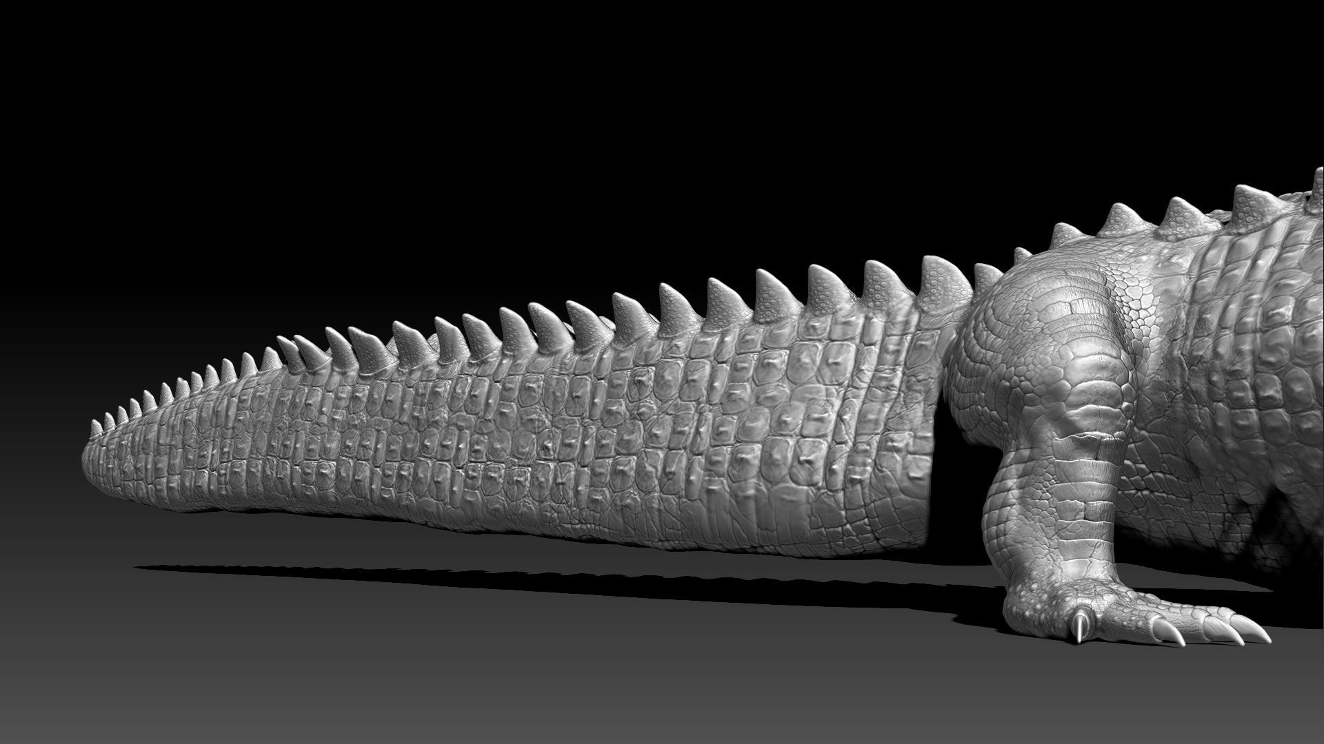 Dinosaur Deinosuchus Riograndensis Sculpt Project 3D model_10