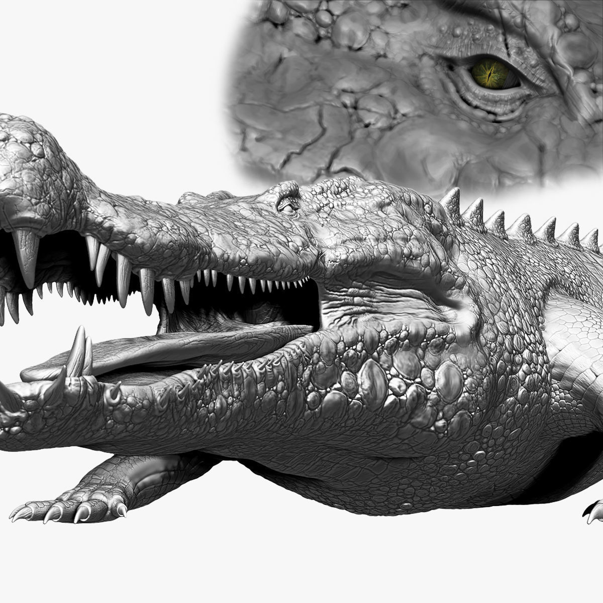 Dinosaur Deinosuchus Riograndensis Sculpt Project 3D model_2