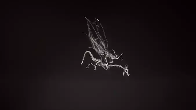 Dragon 11 Wyvern UE4