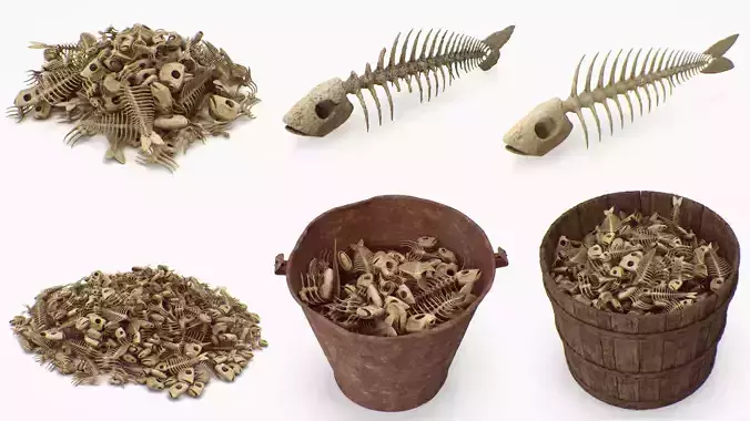 Fish Bones collection