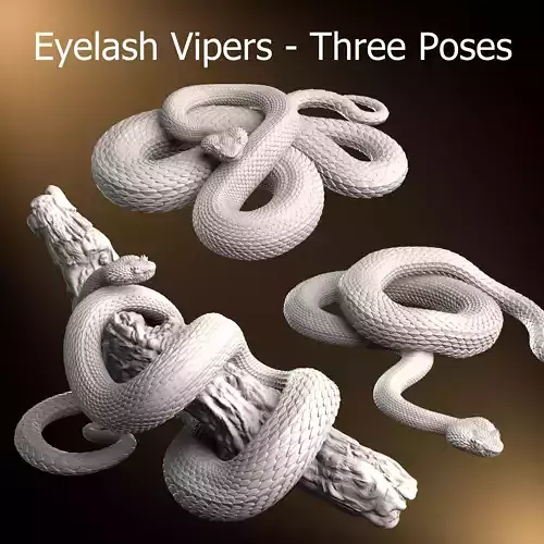 Eyelash Pit Viper Realistic Exotic Snake 3D Print Model 3D print model