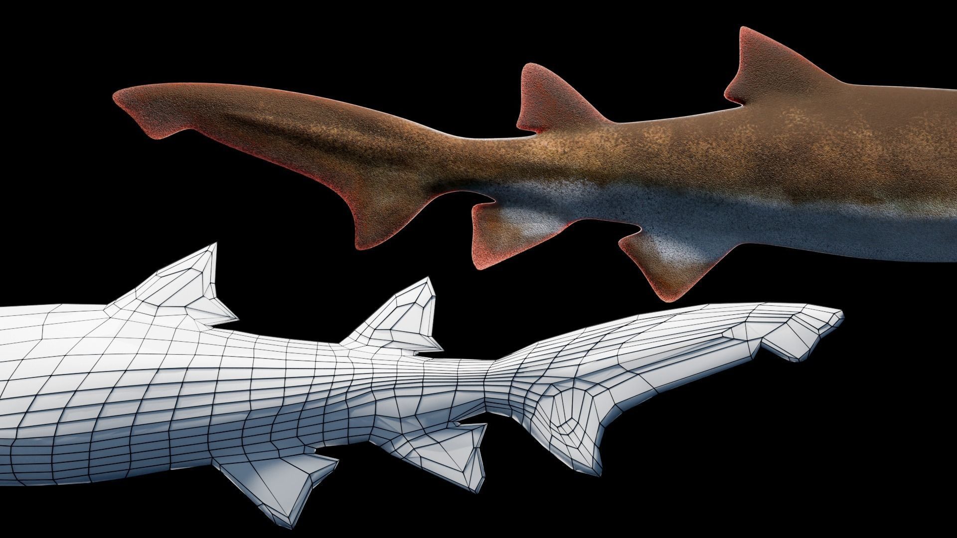 Animated Sand Tiger Shark Low-poly 3D model_2