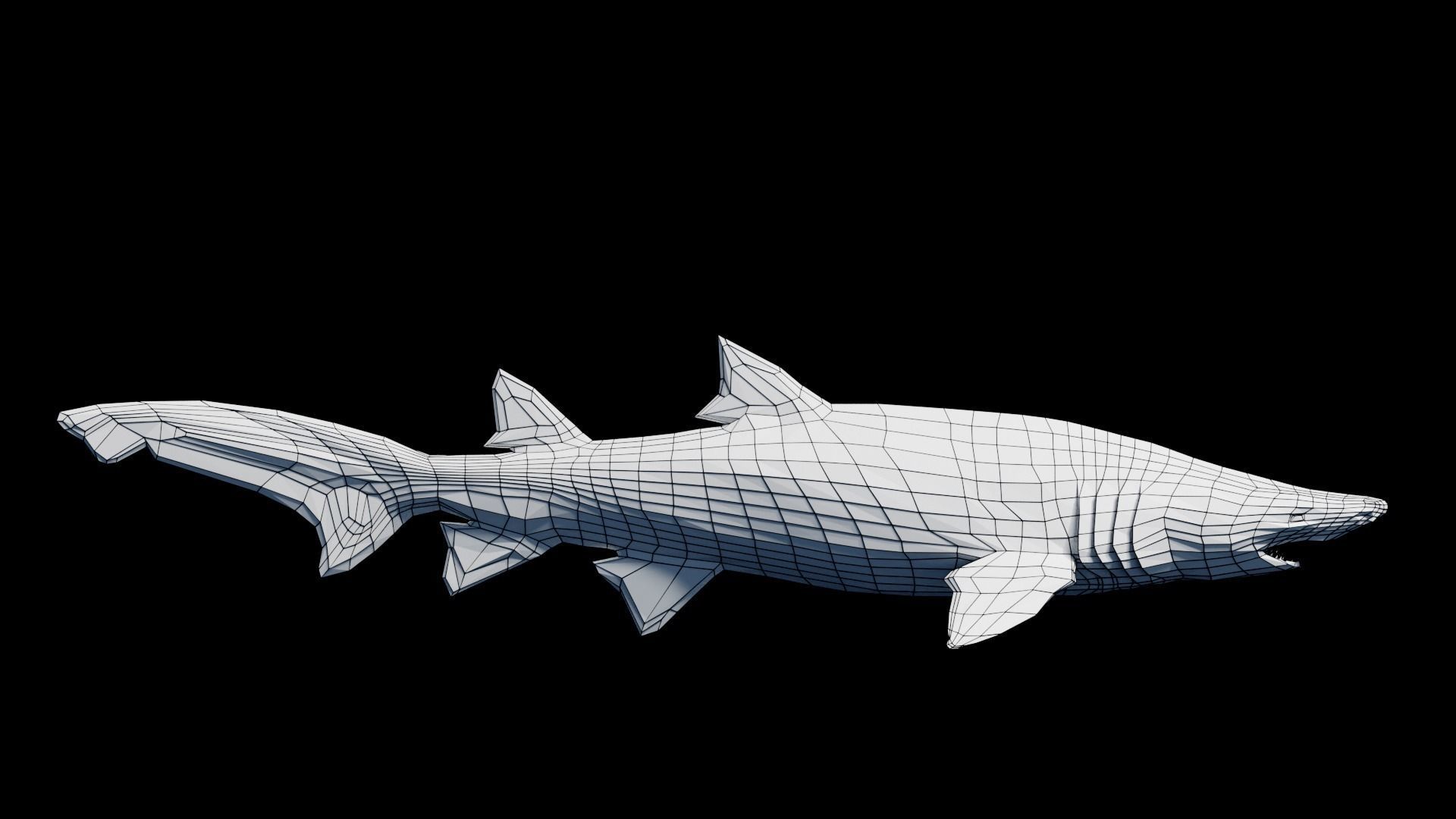 Animated Sand Tiger Shark Low-poly 3D model_8