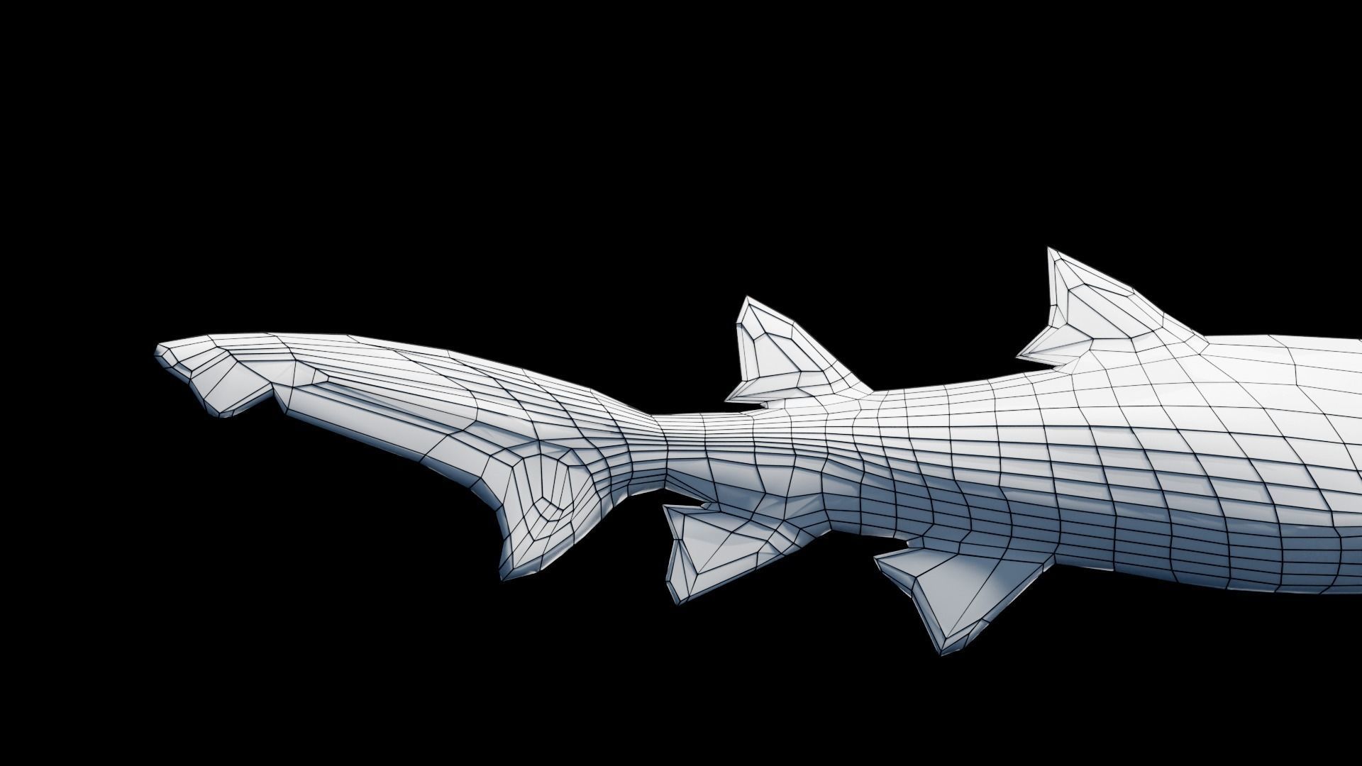 Animated Sand Tiger Shark Low-poly 3D model_12