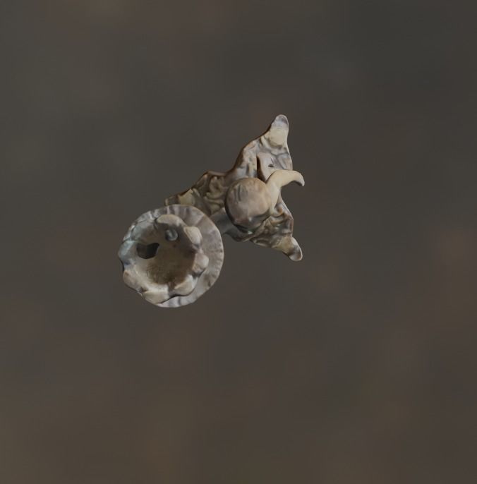 The boy Low-poly 3D model_3