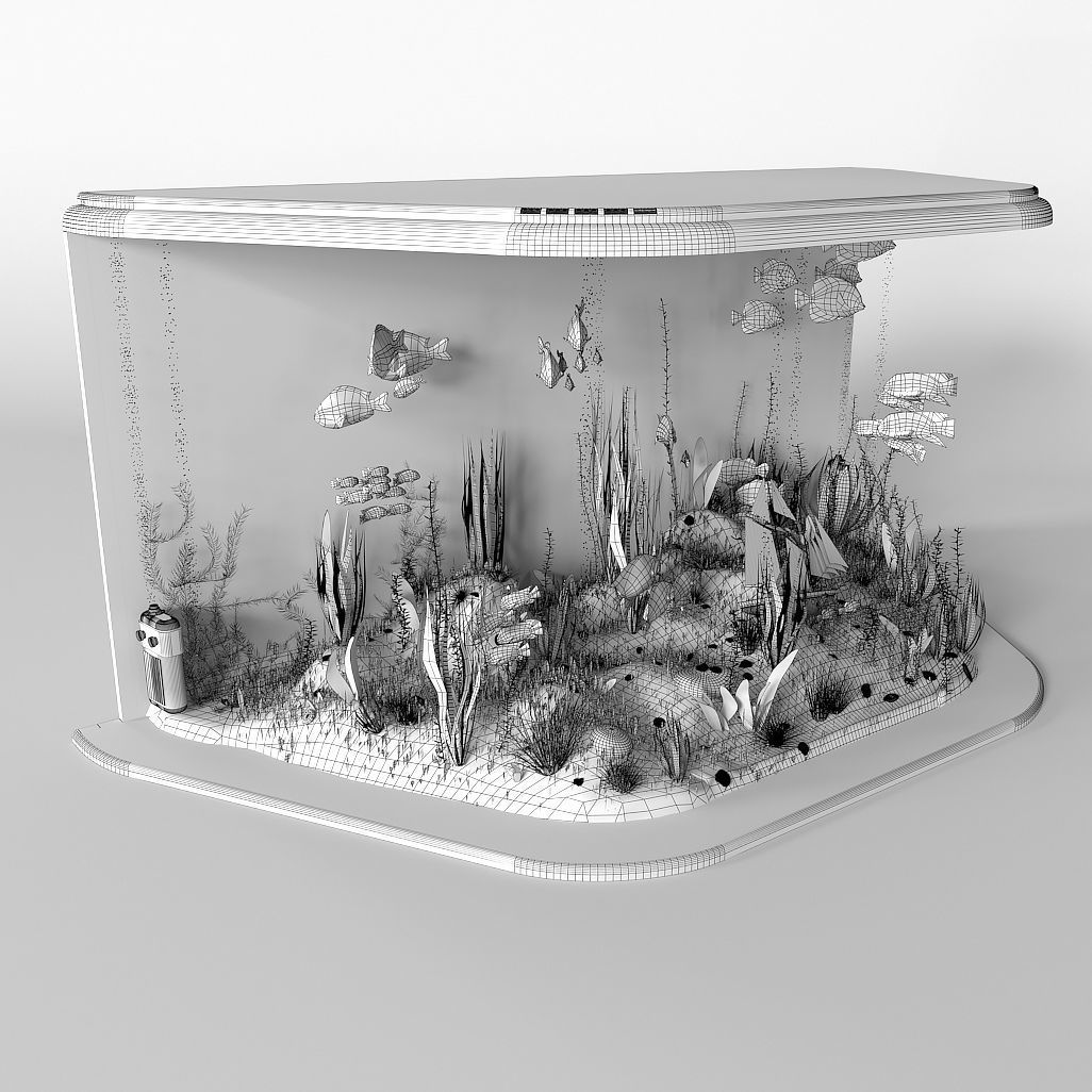 Aquarium 3D model_6