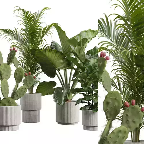 Indoor Plants Pack 64