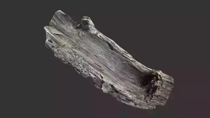 Realistic section of tree trunk