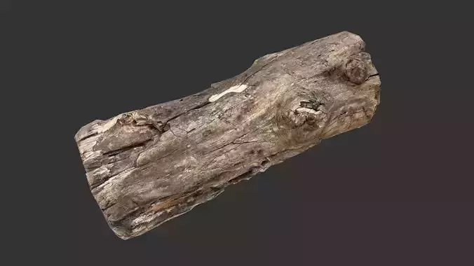 Realistic tree trunk Low-poly 3D model