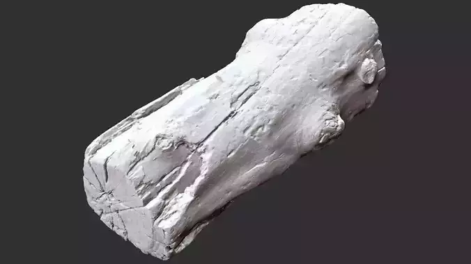 3d scan of tree trunk in highpoly