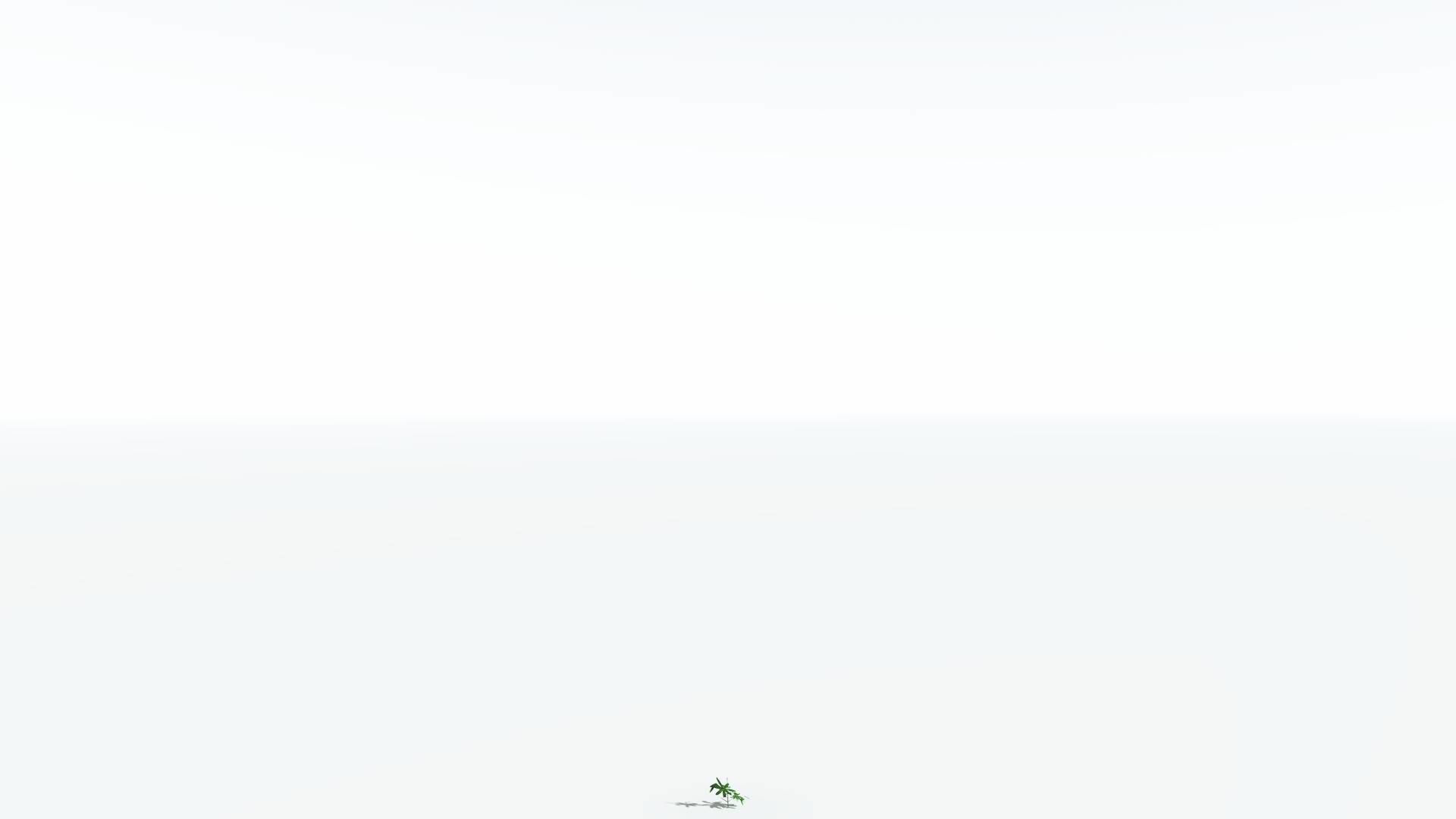 EVERYPlant Glossopteris LowPoly 2 --20 Models-- Low-poly 3D model_31