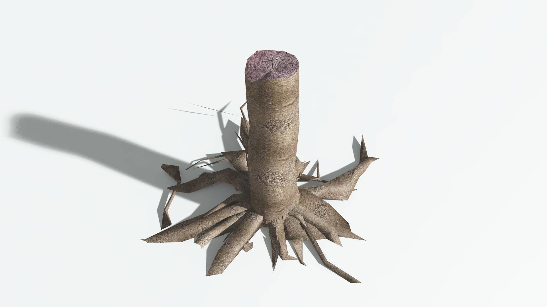 EVERYPlant Glossopteris LowPoly 2 --20 Models-- Low-poly 3D model_22