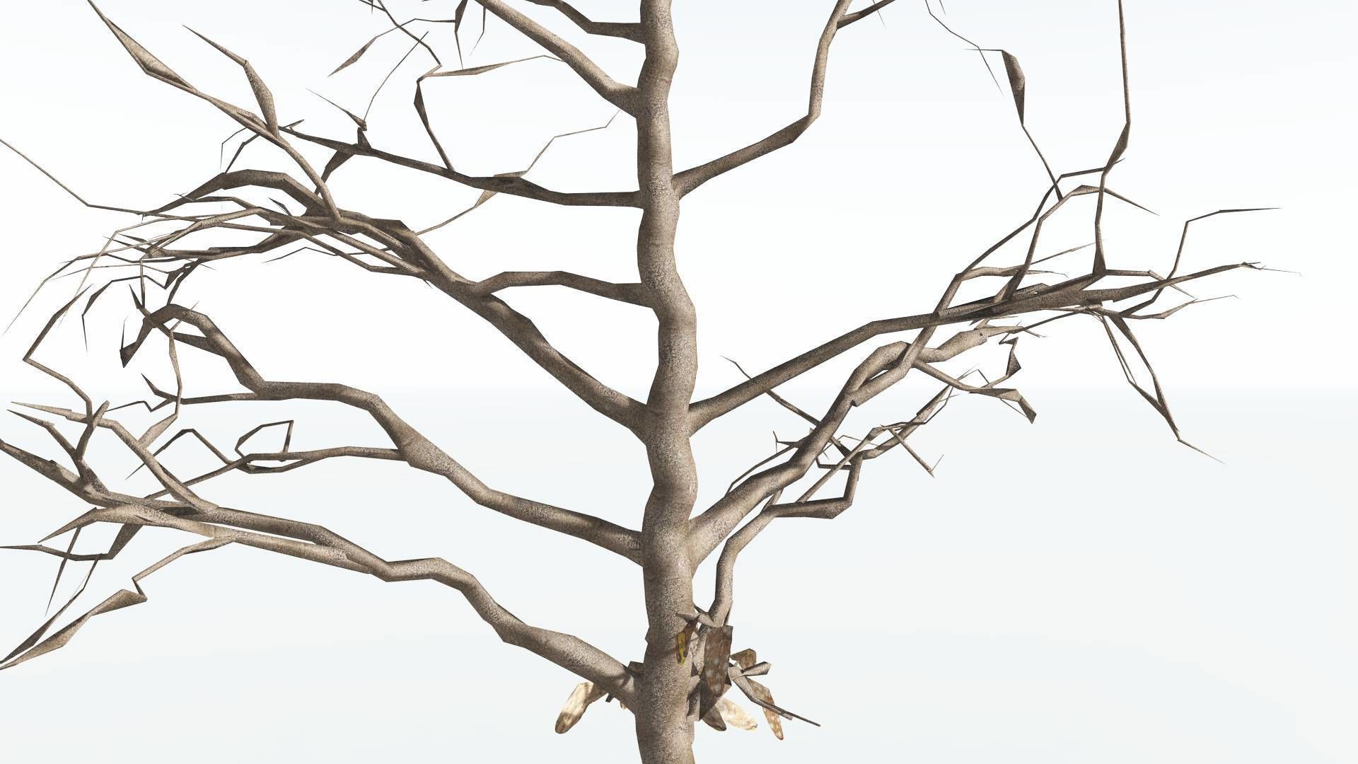 EVERYPlant Glossopteris LowPoly 2 --20 Models-- Low-poly 3D model_12